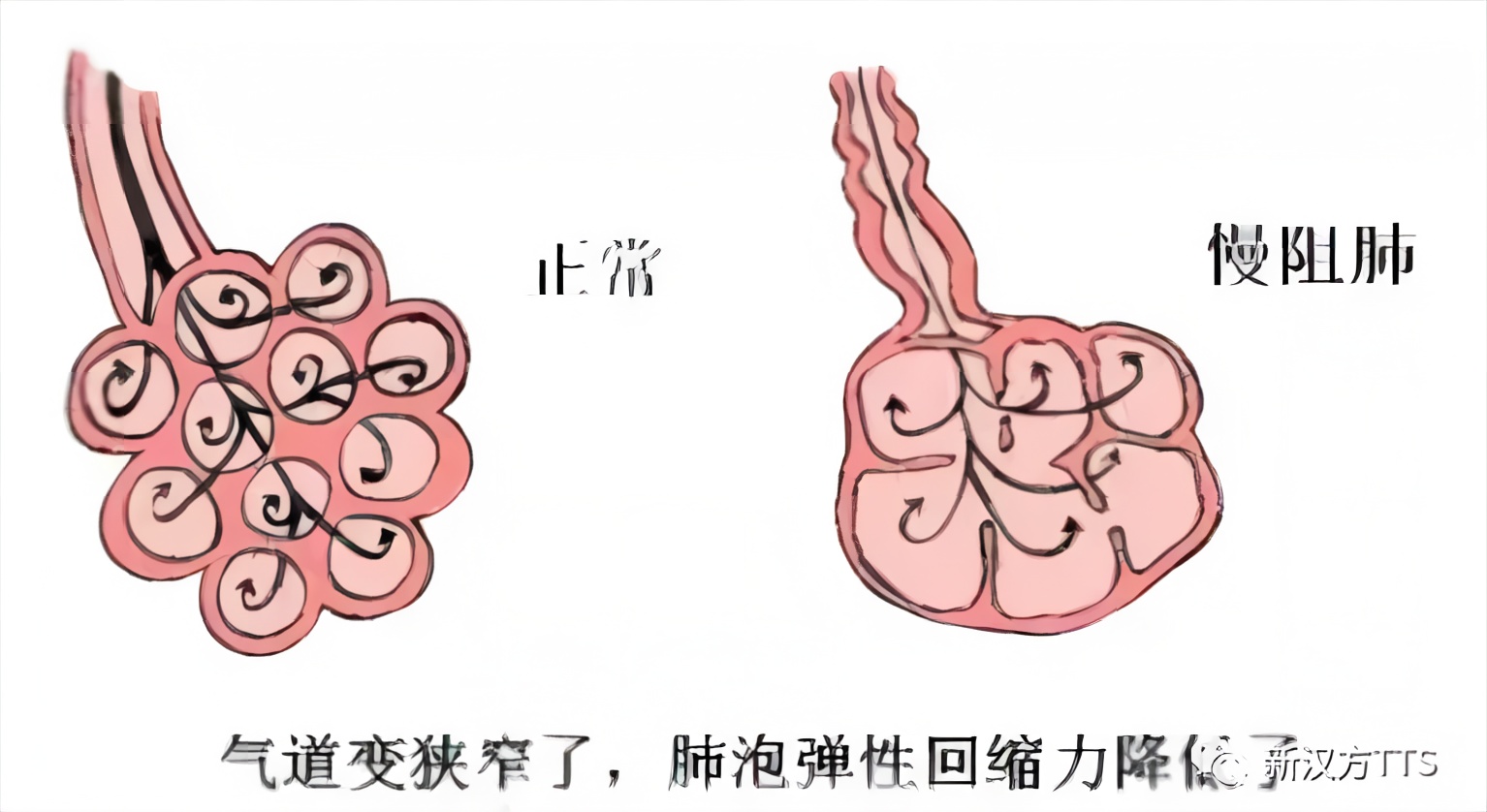 微信图片_20211118103518