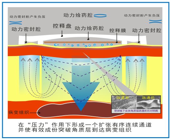 原理图片.jpg